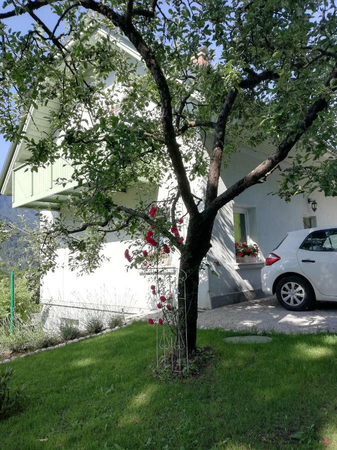 Apartma Neza Μπλεντ Εξωτερικό φωτογραφία